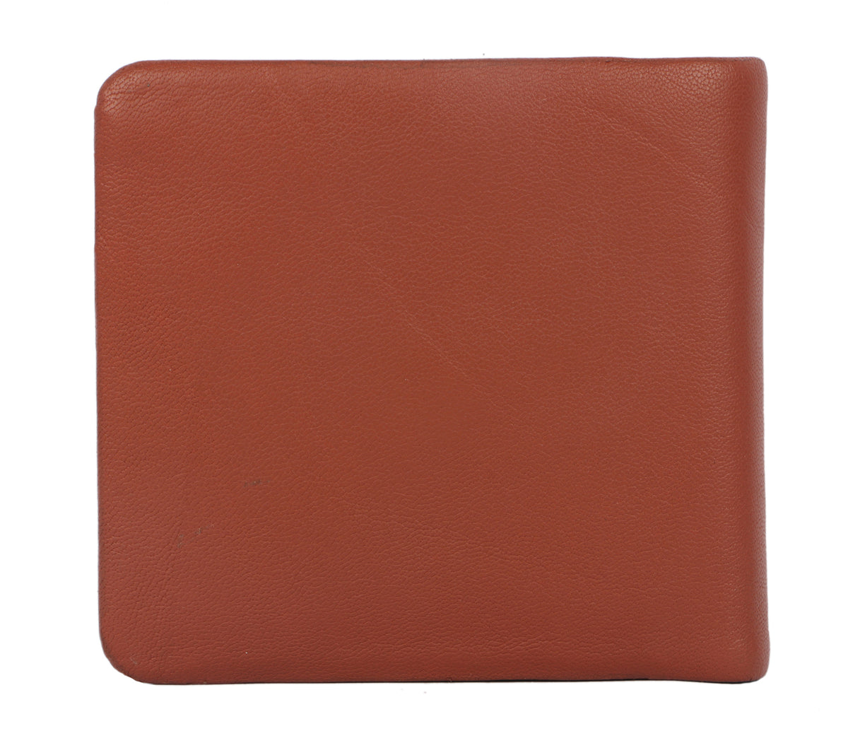 Ashton Mens Wallet - Tan