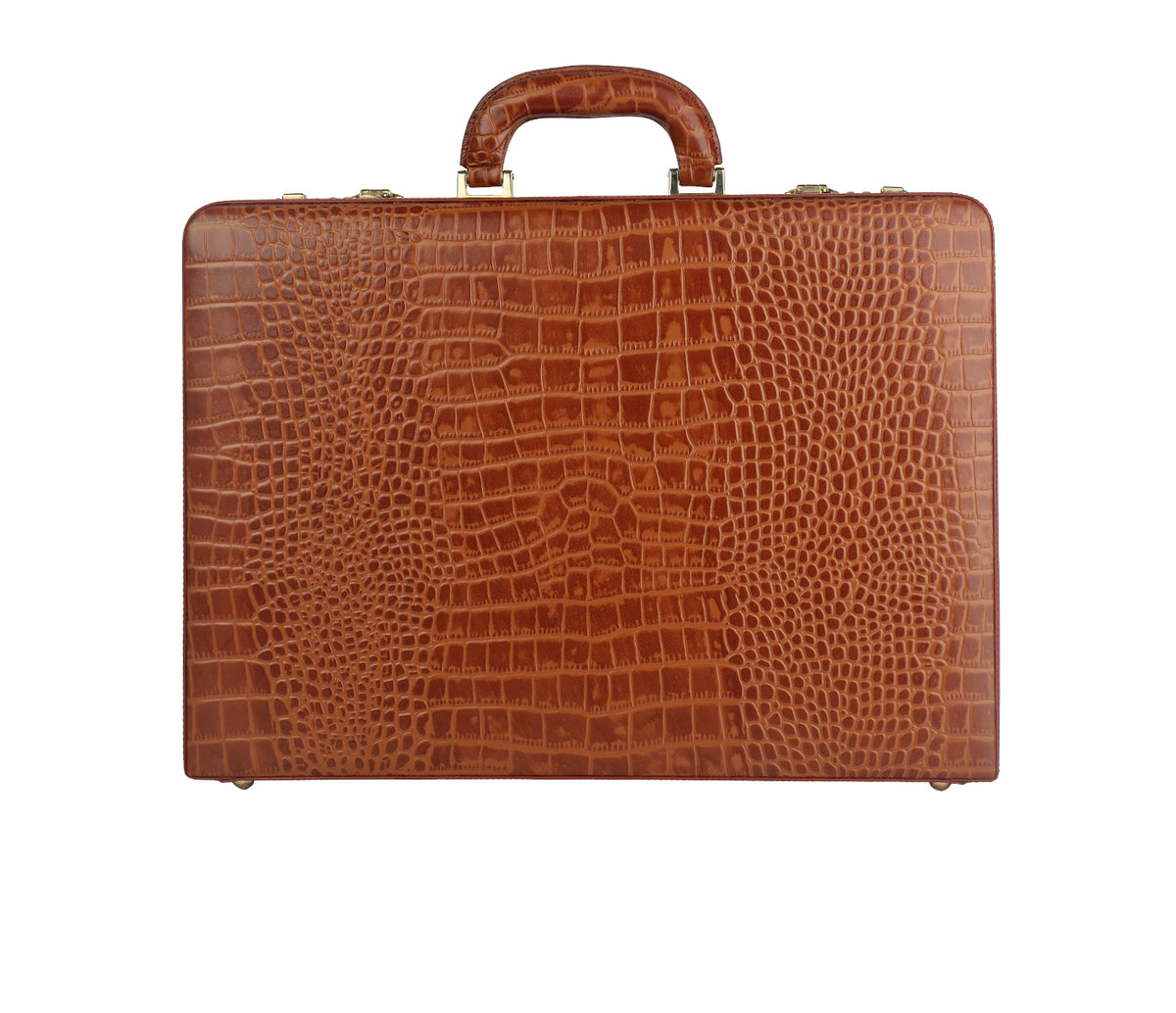 Aldo Briefcase - Tan